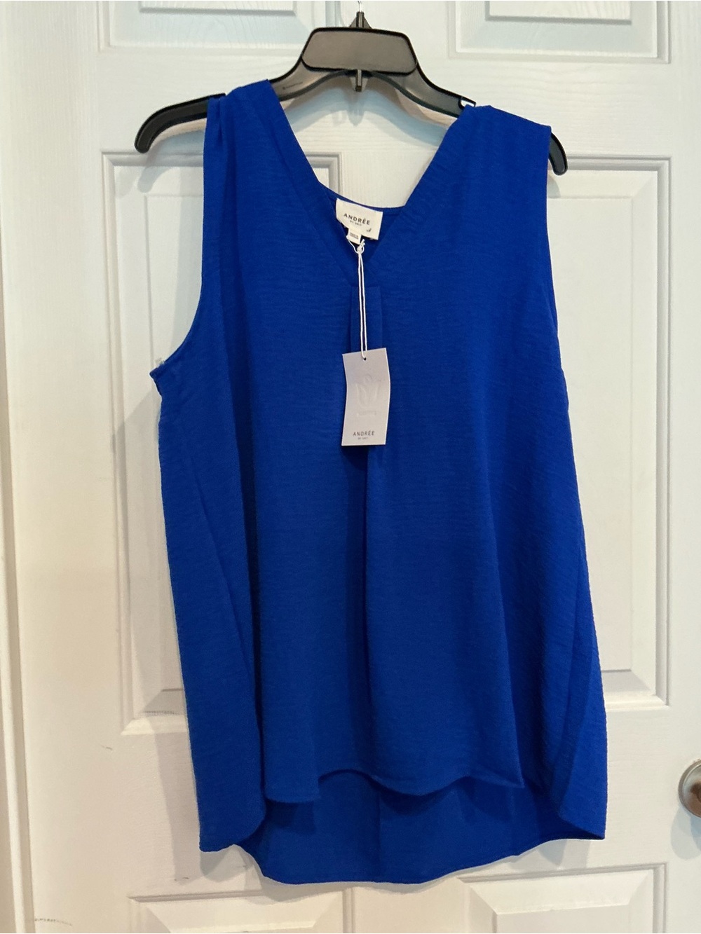 Andree Sleeveless V-Neck Tank Top in Cobalt Blue